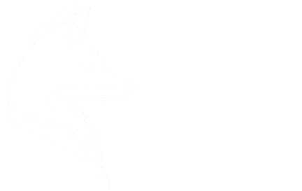 Sanne te Pas Fotografie